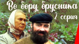 Во бору брусника (2 серия) (1989) фильм