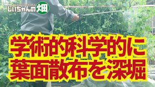 葉面散布のやり方と効果を学術的に、科学的に深掘りしてみた。11/2