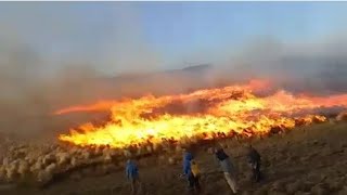 Forest fires in Cordoba are intensifying in Argentina. September 10, 2022