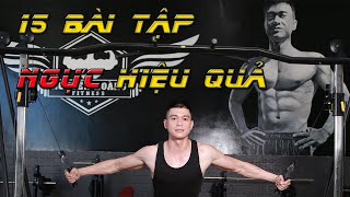 Nguyễn Hoàng Gym | 15 Bài Tập Ngực hiệu quả dành cho Dân Tập Gym