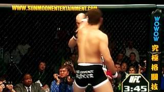 TOP 10 Andrei Arlovski Knockouts