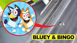 DROHNE überwacht BLUEY und SCHWESTER BINGO in REAL LIFE um 3 UHR mittags !!