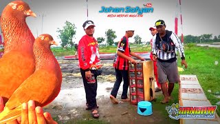 Habis JUARA Even Kawasaki Ninja Team Handaw Ngelob Santai On Lapak Slatri Brebes 7 Januari 2024