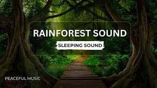 Rainforest Sound: Tropical Rainforest Sound for Sleeping, Sound of Rainforest