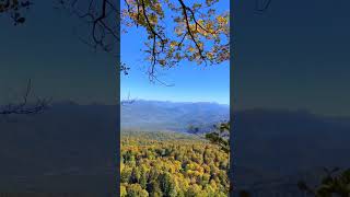 В горную часть Адыгеи приходит золотая осень 🍂