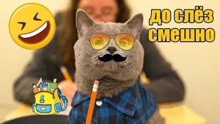 ДО СЛЁЗ СМЕШНЫЕ ПРИКОЛЫ 2018/ПРИКОЛЫ ПРО ЖИВОТНЫX 2018/СМЕШНЫЕ ПРИКОЛЫ С ЖИВОТНЫМИ 2018