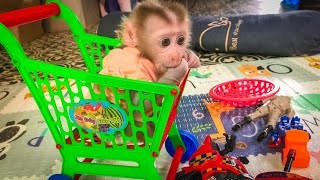 Absolutely Adorable Baby Monkey Like Play With Toys | Monkey Ella Playtime Video