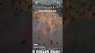 Ziarat e Imam Hussain #shorts #short