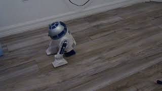 my R2D2 Danny i built at the droid workshop Hollywood studios