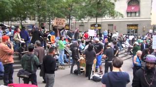 The Brooklyn Chronicles: Occupy Wall Street at Zuccotti Park, October 2011