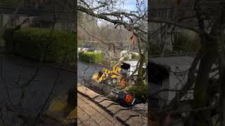 Big uprooted oak demolishes house #shortvideo #shorts #treework