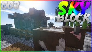 NOTRE NOUVELLE MAISON! ( Skyblock )