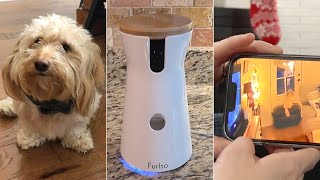 This Dog Camera For Separation Anxiety Helped Our Dachshund