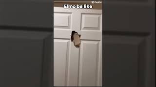 Elmo be like