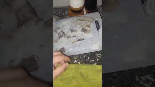 mojarras más brillosas, como hacerlo??