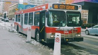 Calgary Transit 2003 New Flyer D40LF #7838 on Route 304 Max Yellow Woodpark