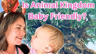 Disney World with a BABY: Is Animal Kingdom Worth It? Answers and Tips