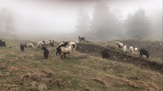 Анталья / Прогулка в горы.