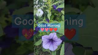 Good Morning Status #trendingreels #shortsvideo #status #goodmorningstatus #goodvibes #motivation