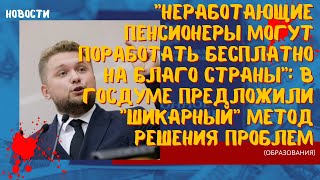 Неработающие пенсионеры могут поработать бесплатно на благо страны в ГД предложили шикарный метод