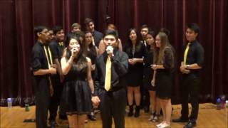 I See the Light - The Aristocats A Cappella