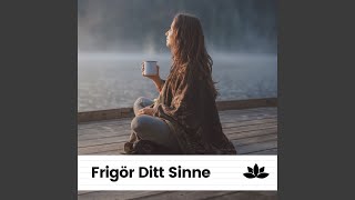 Ambient fågelsång