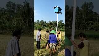 PEMASANGAN RUMAH BURUNG HANTU DI POKTAN SRI MAKMUR CANDIRENGGO AYAH