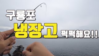 [다리tv] 구룡포 냉장고 포인트!!! 바닥에서 퍽퍽 합니닷!!! ㅎㅎ