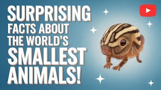 Surprising Facts About the World's Smallest Animals!