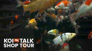 Shop Tour | Pond Planet