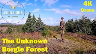 The Unknown, Borgie Forest, Sutherland - NC500 - DJI AIR3 / DJI AVATA 4K