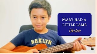 Mary had a little lamb | Ukelele Cover by Vihaan | NXD #ukelele #nxd