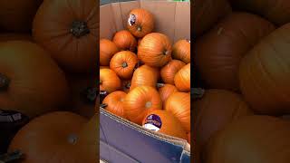 Тыковки, брауни с тыковками 🧡 🎃🍁 продолжение следует 🎉 …