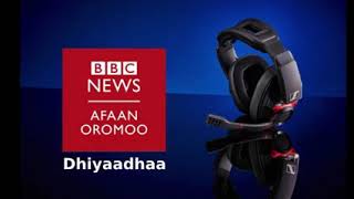 Oduu BBC Afaan Oromoo Galgala Robii 19 2022