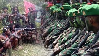 Ratusan KKB Papua Diburu 2 Pasukan Elite TNI, Para OPM Bersembunyi & Berpindah-pindah