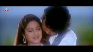 Janam meri janam song || Mr bechara movie songs || sridevi hit songs || Anil Kapoor hit songs