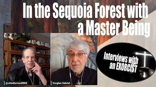 Douglas Gabriel:  In the Sequoia Forest with a Master Being