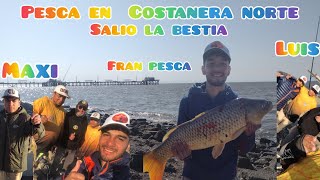 pesca en la Costanera salió la bestia