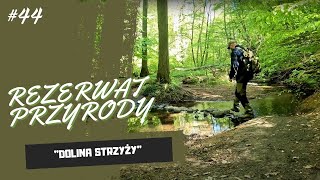 Rezerwat Przyrody "Dolina Strzyży"  #dolinastrzyży