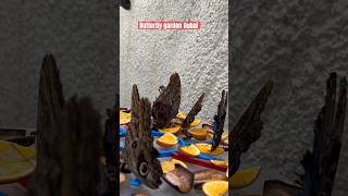 Butterfly gardens Dubai #dubai #travel #dubaiattractions #shortvideo #travelvlog #shortvideo #yts