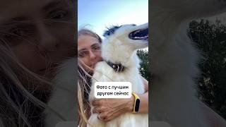 10 лет нашей дружбе #собакадругчеловека #short #собака#лучшийдруг