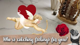 Who is catching feelings for you💞💘💞 + Initials/Numbers #tarot #pickacard