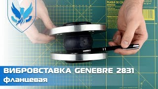 ⛲️ Вибровставка фланцевая Genebre 2831 Ду 40, 🎥 Компенсатор резиновый фланцевый | АРМАШОП