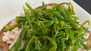 Pickleweed