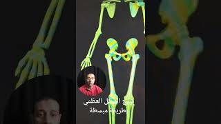 الاناتومي بطريقة سهلة