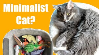 I counted everything my cat owns as a minimalist.