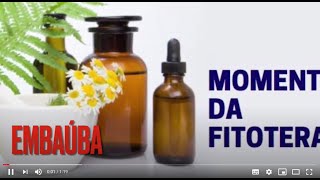 Embaúba - Momento da Fitoterapia - Vídeo 9