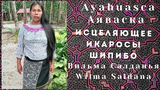 Икаросы Шипибо Вильма салданья / Ikaro de Shipibo Wilma Saldana Аяваска, аяхуаска, ayahuasca