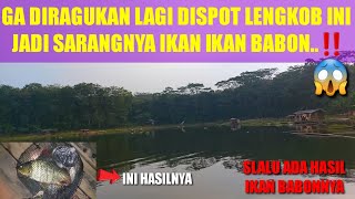 GA DIRAGUKAN LAGI..‼️DISPOT INI JADI SARANGNYA IKAN IKAN BABON ||MANCING CIRATA TERBARU