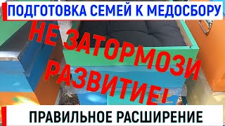 Подготовка семей к медосбору. Не тормози развитие! Правильное расширение.